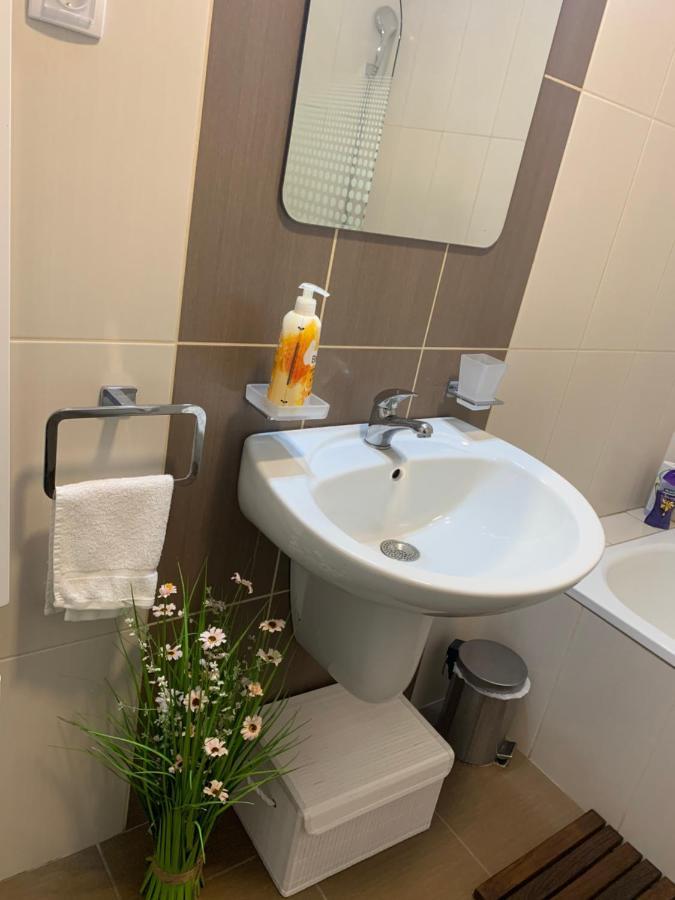 Apartment Rosa Nowy Sad Zewnętrze zdjęcie